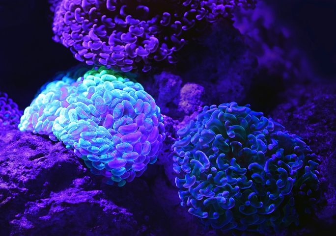 the-future-of-antibody-discovery-and-ai-driven-biologics-development